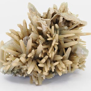 Green Hedenbergite Quartz Cluster (Prase) – Inre Mongoliet | 8 cm skåpexemplar
