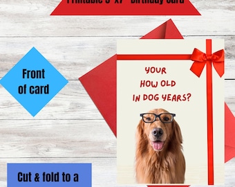 Alles Gute zum Geburtstag, Grußkarte, digitale Geburtstagskarte, Geburtstagskarte Hund, lustige Geburtstagskarte, Geburtstagskarte, printable Geburtstagskarte