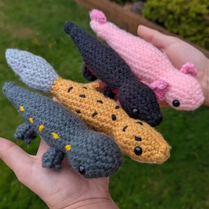 Salamander, Axolotl, Newt, Leopard Gecko Crochet Amigurumi Pattern PDF in English