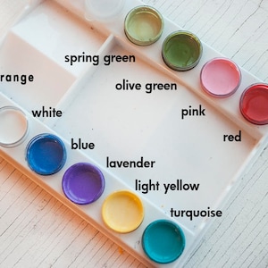 May include: A white plastic paint palette with 12 paint wells, filled with various colours, including spring green, olive green, white, orange, pink, red, blue, lavender, light yellow, and turquoise. The text "accent colours" is written vertically on the right side of the palette.