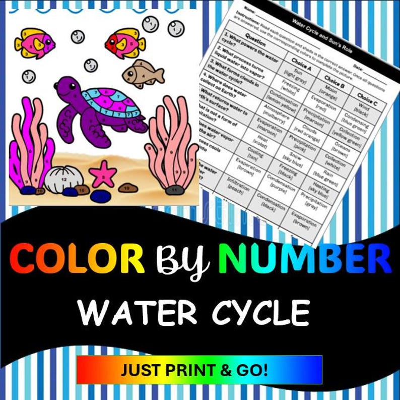 Water Cycle Coloring Worksheet - Etsy