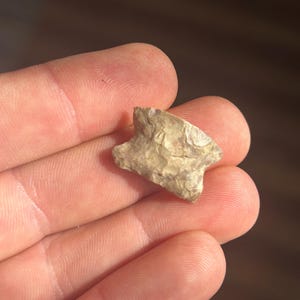 May include: A small, tan arrowhead with a notched base and pointed tip. The arrowhead is made of stone and has a rough texture. The arrowhead is held in a person's hand.