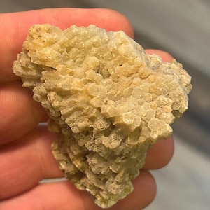 Coral cristalizado