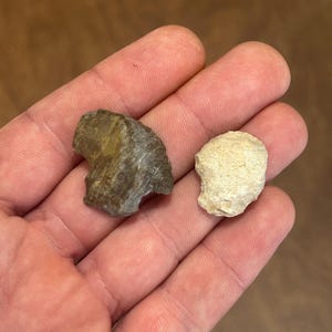 May include: Two small, irregularly shaped stones. One is a mix of brown and gray, the other is a light beige color. The stones are held in an open hand, with a blurred wooden background.