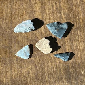 Op de afbeelding: Vijf oude pijlspuntartefacten in verschillende kleuren, waaronder grijs, wit en bruin, worden getoond op een houten oppervlak. De pijlpunten variëren in grootte en vorm en tonen het vakmanschap van een vervlogen tijdperk.