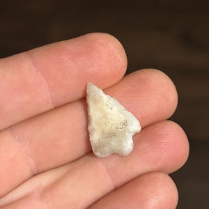 May include: A small, off-white, chipped stone artifact with a rough texture. The stone has a triangular shape with a slightly curved edge and appears to be an ancient tool or arrowhead. The artifact is held in a person's hand.