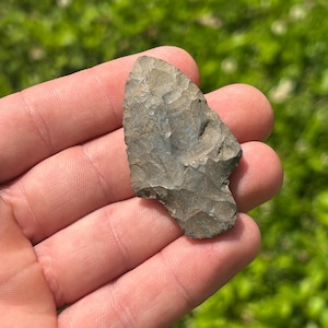 May include: A gray, chipped arrowhead with a textured surface. The arrowhead is held in a hand against a blurred green background of grass and foliage. The arrowhead is a triangular shape.