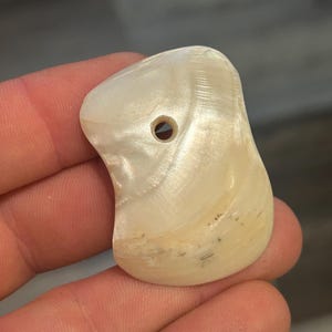 Ancient Shell Pendant