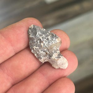 Puede incluir: Una pequeña roca de forma irregular con una mezcla de colores gris, blanco y beige. La roca tiene una superficie rugosa y texturizada y parece ser un fragmento de una piedra más grande. El objeto se sostiene en una mano.