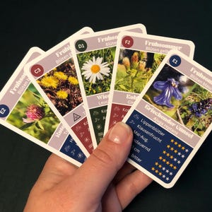 Jeu de quatuor « Herbes sauvages »