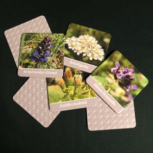 Memory game wild herbs
