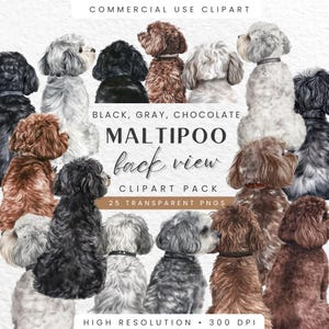 Pacote de clipart de vista traseira de Maltipoo, raças de cães em aquarela, volume 2, clipart de animal de estimação fofo, download digital para amantes de cães, uso comercial