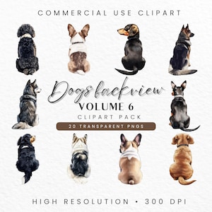 Vue arrière de races de chiens PNG transparents, clipart chiens de dos, border collie, berger allemand, bouledogue français, chihuahua, volume 6