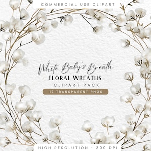 Guirlande de fleurs séchées BabyBreath Clipart floral, gypsophile fleur PNG transparents, téléchargement numérique pour faire-part de mariage