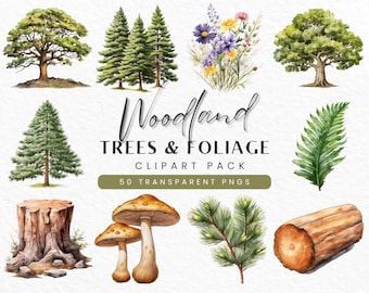 Imágenes prediseñadas de bosque: árboles y follaje (descarga digital PNG)