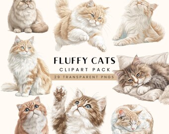Foto von Katzen Clip Art, transparentes PNG, Aquarell Clipart, Kartenherstellung, Junk Journal Projekte