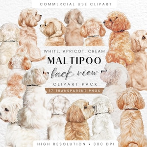 Achteraanzicht Maltipoo clipartbundel, aquarel hondenrassen, deel 1, schattige huisdier clipart, digitale download voor hondenliefhebbers, commercieel gebruik