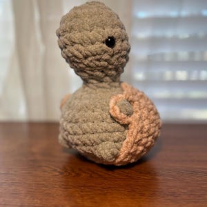 May include: A gray crocheted turtle with a pink crocheted shell. The turtle has a black button eye.