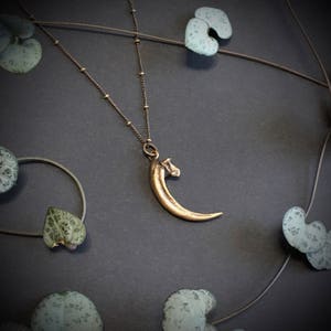 Raven claw Pendant