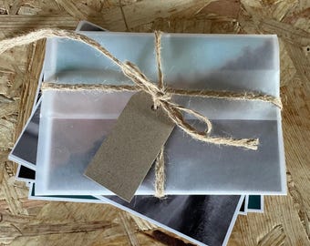 Überraschungs-Postkartenbox mit Pferdemotiven, 5 Kunstdrucke mit Pferdemotiven, limitiertes Einführungsset, Geschenkidee für Pferdeliebhaber