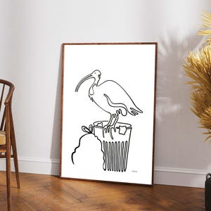 Bin Chicken Art Print (Ibis)