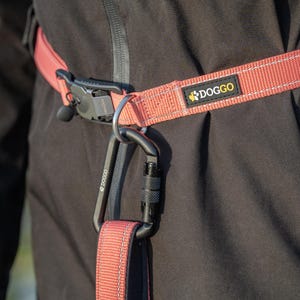 Hands-Free Adventure Belt
