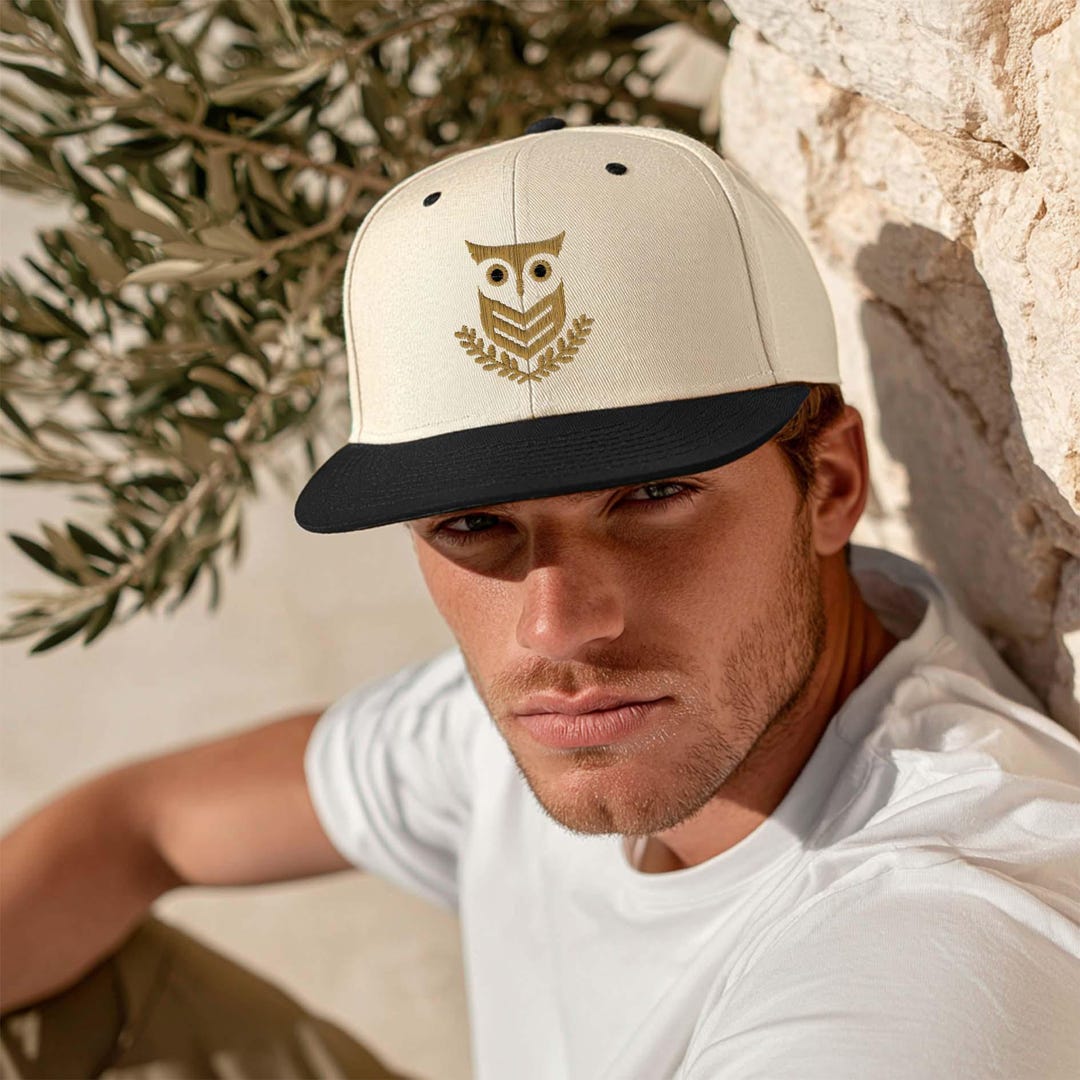 Athena Owl Embroidered Snapback Hat, Greek Mythology Cap, Greek Goddess ...