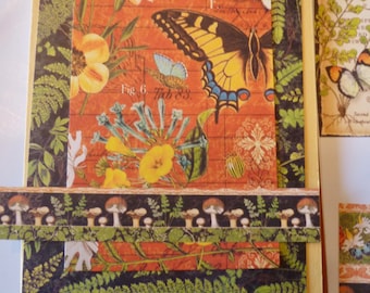 Graphic 45. Nature’s Sketchbook, DIY Card Kit for 4, 6, 8 or 12! Colorful Pattern Papers in 3 sizes. Bling, Card Stock, Die Cuts +