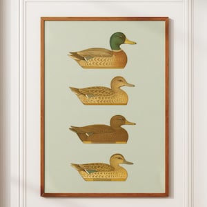 Retro Duck Poster Outdoors Art Duck Decoy Posters Outdoorsy Wall Prints Home Office Decor Nature Wall Art Hunting Gift for Dad duck wall art