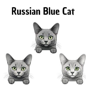 Clipart chat bleu russe, Clipart chat, DIY, fait à la main, Digital Artwork
