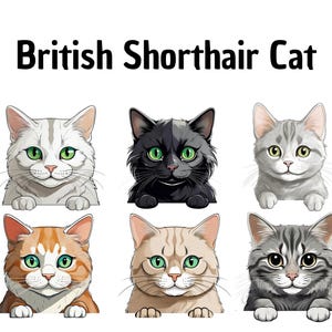 Cliparts de pelo curto britânico, Clipart de gato, Arte digital, Feito à mão, Faça você mesmo