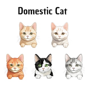 Cliparts de gatos domésticos, Clipart de gatos, Feito à mão, Bricolage, Arte digital