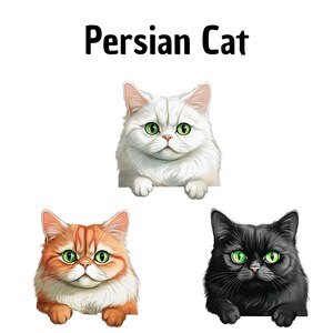 Clipart chat persan, Clipart chat, fait à la main, DIY, Digital Artwork
