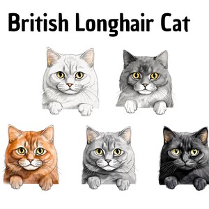 Cliparts Gato britânico de pelo comprido, Obra de arte digital, Feito à mão, Bricolage