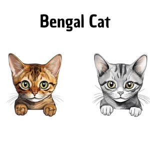 Clipart de Bengala, Clipart de Gato, Feito à mão, Bricolage, Arte digital