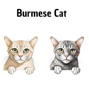 Clipart de gato birmanês, Clipart de gato, Feito à mão, Bricolage, Arte digital