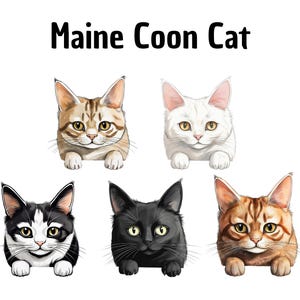 Cliparts Gato Maine Coon, Clipart de gatos, Feito à mão, Bricolage, Arte digital