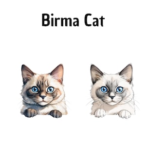 Birma Cat Clipart, Cat Clipart, Handmade, DIY, Digital Artwork