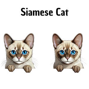 Clipart Gato siamês, Clipart de gato, Feito à mão, Bricolage, Arte digital