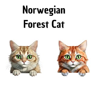 Cliparts de chat de la forêt norvégienne, Cliparts de chat, fait à la main, DIY, Digital Artwork