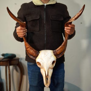 Cow Skull Wall Decor, Skull, Texas Home Decor, Bull Skull, deer skull figurine , Skulls, Animal Skull, Cow Skull, Gold Animal Skull