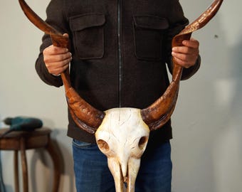 Cow Skull Wall Decor, Skull, Texas Home Decor, Bull Skull, deer skull figurine , Skulls, Animal Skull, Cow Skull, Gold Animal Skull