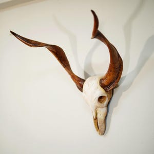 Skull, Texas Home Decor, Bull Skull, deer skull figurine , Skulls, Animal Skull, Cow Skull, Gold Animal Skull
