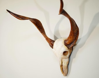 Skull, Texas Home Decor, Bull Skull, deer skull figurine , Skulls, Animal Skull, Cow Skull, Gold Animal Skull