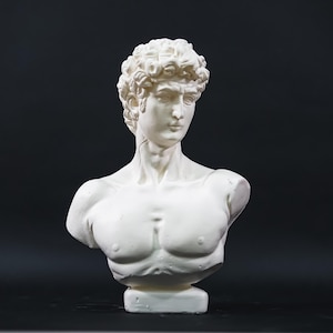 Statue Of David , David Bust Statue, Bust, White Sculpture ,Roman Sculpture Statues, Greek Bust Statue