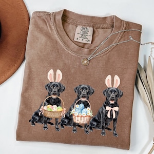 May include: A brown t-shirt with a faded look featuring three black labrador retrievers wearing bunny ears and holding baskets of Easter eggs. The text "COMFORT COLORS" is on a white tag attached to the shirt.