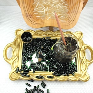 Bomboniere personalizzate con capsule di semi, bomboniere piantabili per gli ospiti del matrimonio, bomboniere ecologiche personalizzate per gli ospiti