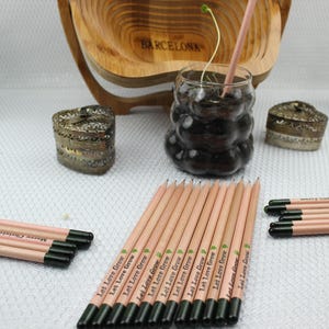 Crayons de graines personnalisés pour mariages, cadeaux de mariage pour invités, cadeaux de baby shower, cadeaux de baptême, carte personnalisée