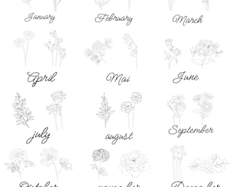 Op de afbeelding: Zwart-wit lijntekeningen van geboortebloemen voor elke maand van het jaar. Elke maand is met zijn naam in cursiefschrift gelabeld. De tekst "BIRTH FLOWER MONTH" en "TRANSPARENT PNG + SVG" staan onderaan.