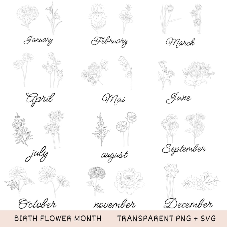May include: Black and white line drawings of birth flowers for each month of the year. Each month is labeled with its name in a cursive font. The text "BIRTH FLOWER MONTH" and "TRANSPARENT PNG + SVG" are at the bottom.